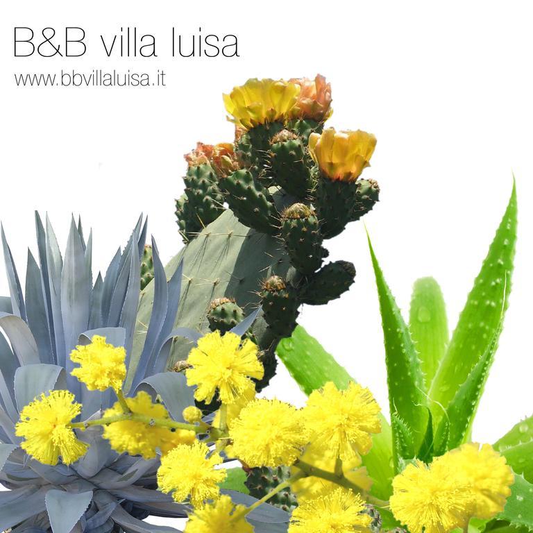 קזארצה ליגורה B&B Villa Luisa מראה חיצוני תמונה
